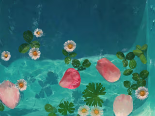 My Japanese movies + flower period