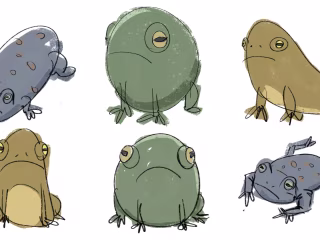Book Illustrations