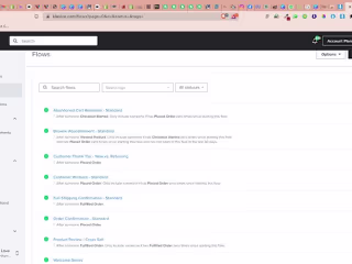 Klaviyo Email Campaign and Sales Funnel