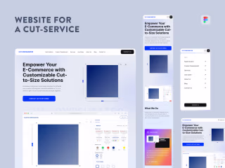 Website for a product company