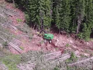 The Interior Lumber Manufacturers Association - Video Production
