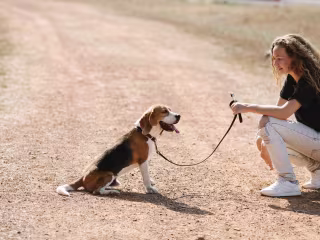 Take your pal to the Best Friends Animal Society's Strut Your M…