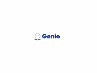Visual Identity for Genie Technologies