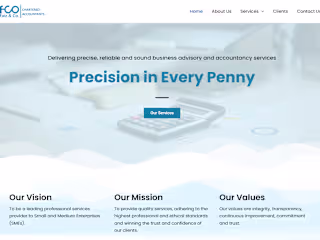 Faiz & Co Chartered Accountant's Website