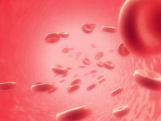 Blood Circulation Animation