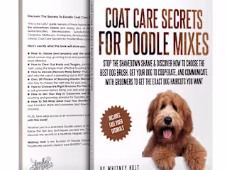 Book Contributor: Coat Care Secrets For Poodle Mixes