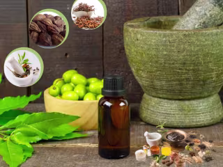 AyurRoots: Connecting with Ancient Healing Traditions