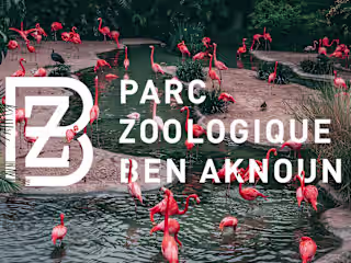 Zoo Branding and Signage
