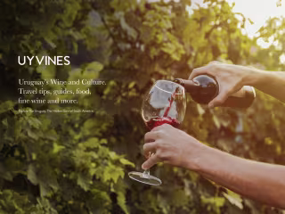 UYVINES Blog Design