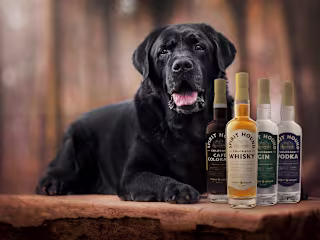 Spirit Hound Distillers - Brand Collateral + Website Redesign