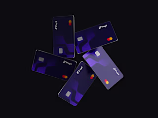 Payli Brand Identity 