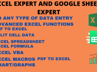 I will microsoft excel expert, ms office, ms word, data entry, …