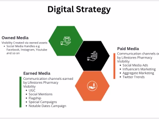 Lifestores Healthcare Digital Strategy