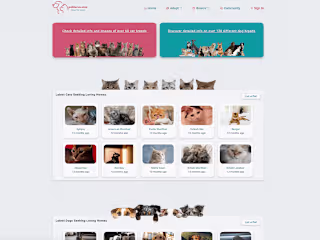 patilerce.com - A Pet Adoption Website