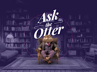 Ask the Otter website and chatbot