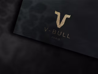 V-BULL - Brand Identity & Logo design