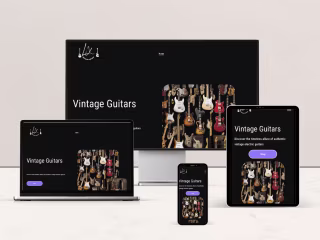 LX Vintage Guitars