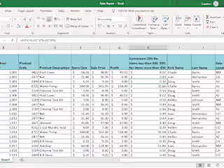 Accurate Data Entry: Sales Report