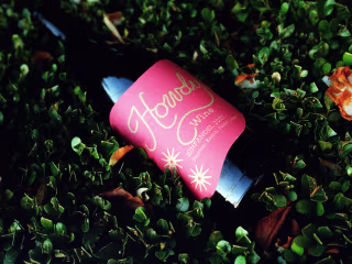 Howdy Wine | Product Design