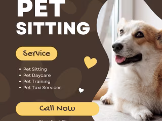 Pet Sitting Service Marketing campaign  