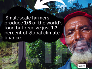 IFAD ASAP+ Launch Proposal