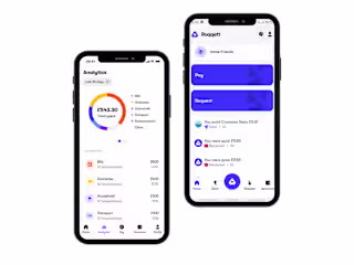 Roqqett App Spend Insights