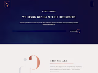 Savant Consulting