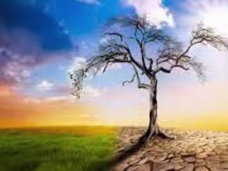 The butterfly effect of deforestation causing climate change