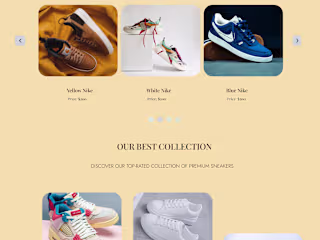 Colorful Sneakers