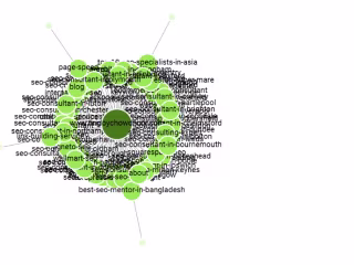 Technical SEO & On-page SEO