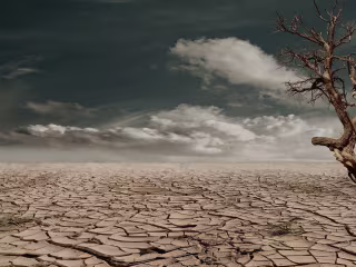 Climate change: The grassroots interventions.