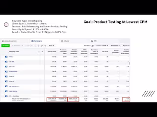 Paid ads plan that scaled revenue 