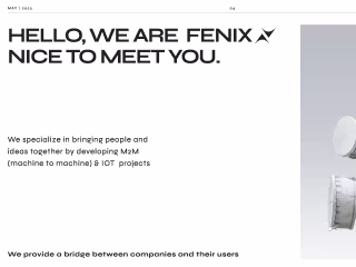📲 UX Research for Fenix 