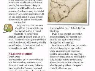 Featured Author: 'A Lioness Mourns' Published in Reader's Digest