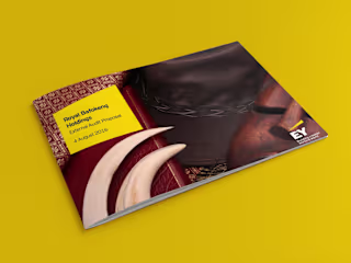 EY Proposal for RB Holdings