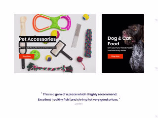 Wix Website Design Projects