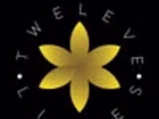12 Lilies (@12liliesllc) • Instagram photos and videos