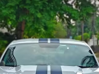 Asutosh Mahapatra on Instagram: “White beast 💀”