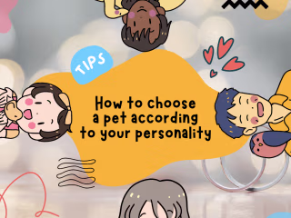 infographics design 