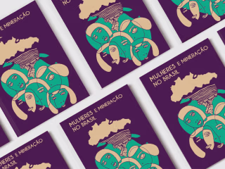 Brochure - Brazilian Institute for Social and Economic Analysis