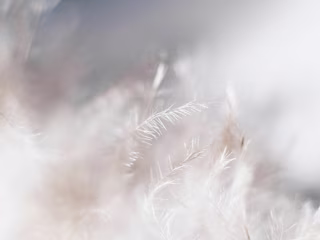 Personal Blog