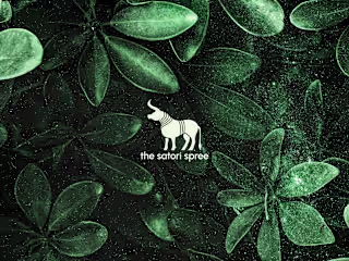 Satori Spree | Laptop Bag | Logo & Brand Identity