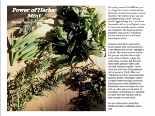 Herb Article: Mint