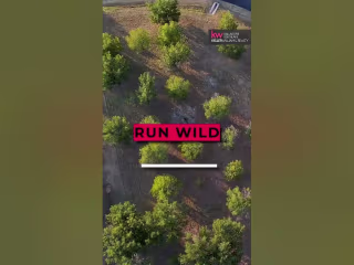 Cinematic Land Listing Tour with Mock Up Home Ideas (TikTok)