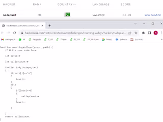 Programming and documentation Expert