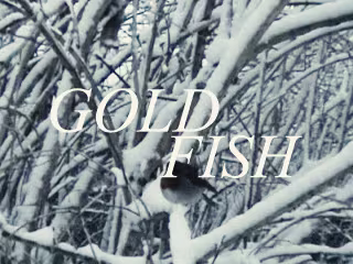 Goldfish - Jane Remover (Music Video)