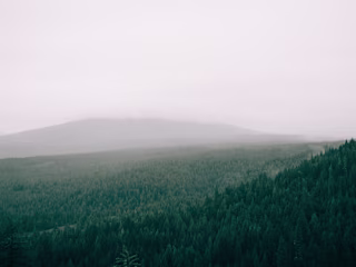 Copywriting for nonprofit technology and fundraising blog (3)