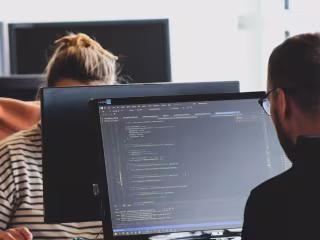 Vuejs/Svelte Development