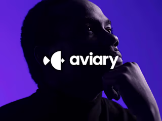 Aviary Analytics - Branding