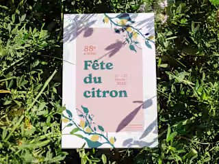 Fête du citron | Poster, brochure & bracelet design